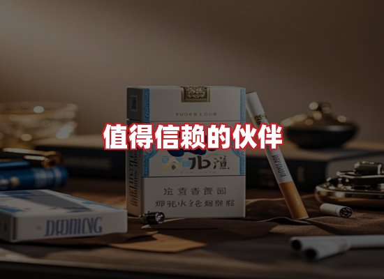 专业团队
